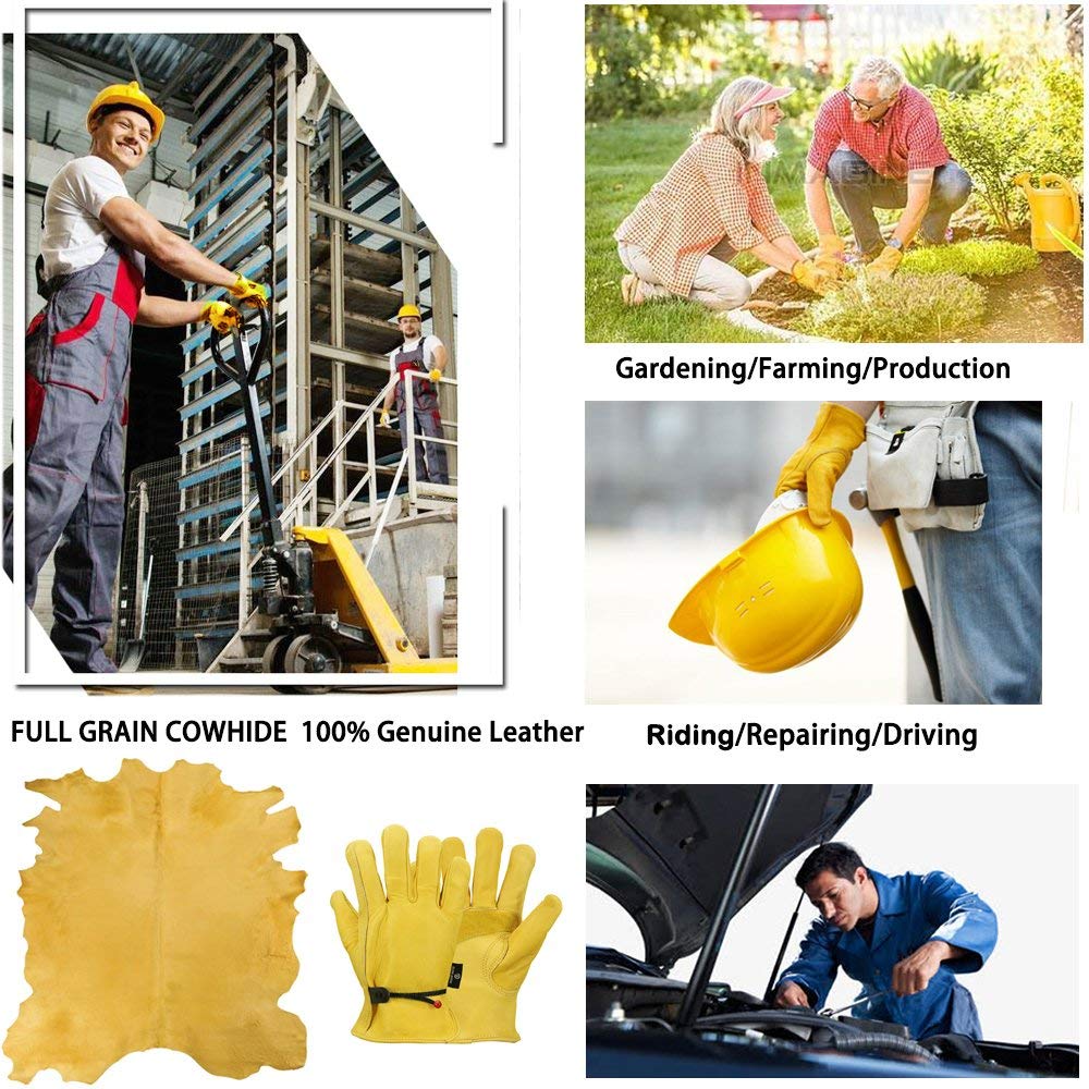 1 Paar Leder-Arbeitshandschuhe – Leather Driving Glove Bewertung und Preis